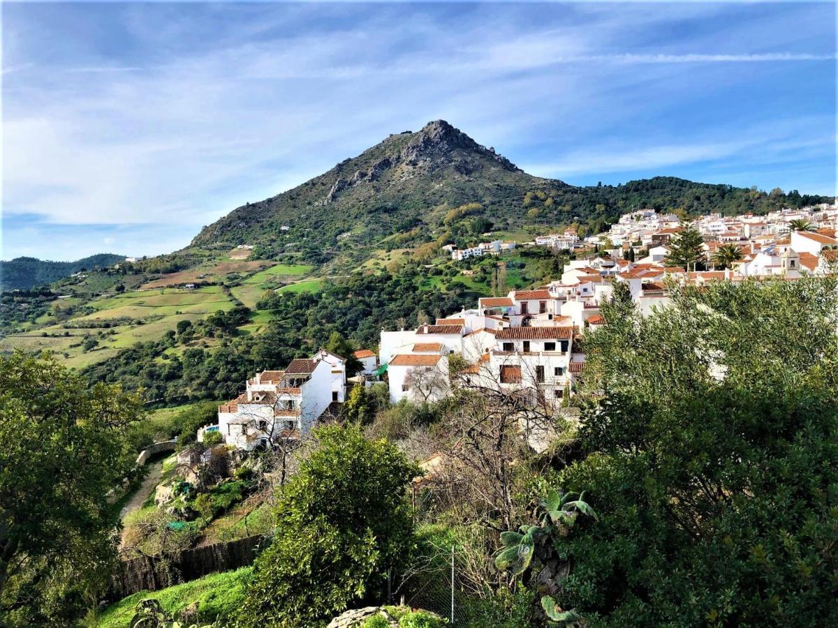 Nilva Mountain - Manilva Villa Exteriör bild